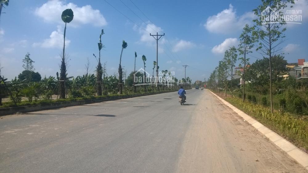 Bán đất dịch vụ nam an khánh, xã an thượng, hoài đức, hà nội diện tích 55m2 60m2 giá 130 triệu/m2