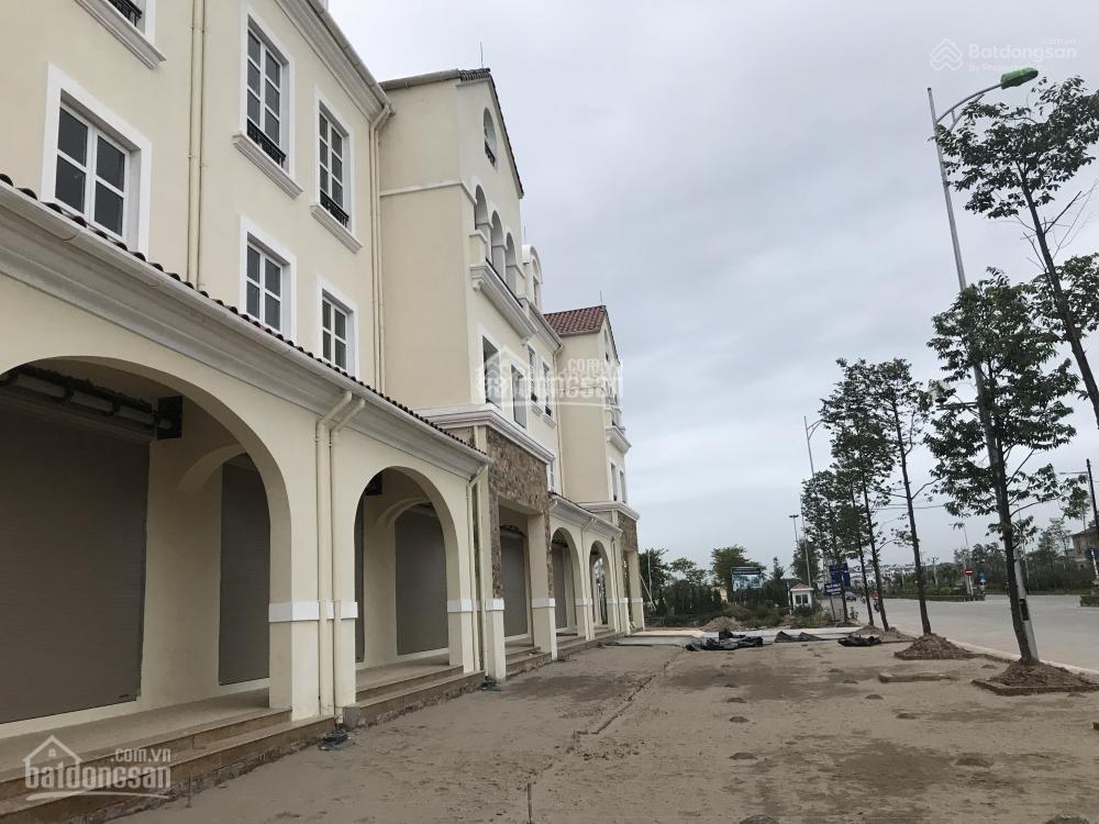 Chính chủ cần tiền bán gấp biệt thự tt10 nam an khánh, diện tích 380m2, giá siêu rẻ