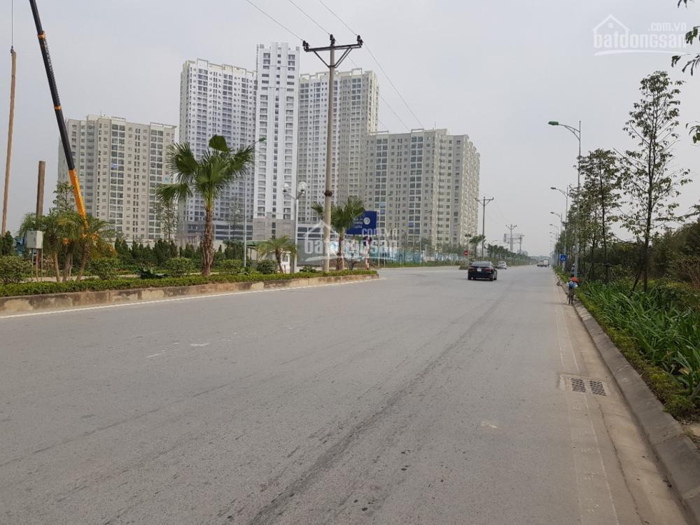 Bán 50m2 đất dịch vụ vị trí đẹp xã song phương, hoài đức, hà nội, giá 100 triệu105 triệu/m2