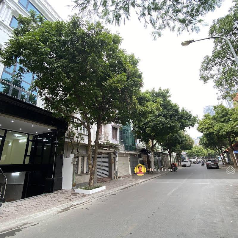 Ảnh thật ô tô tránh, cách phố 3 nhà. lạc trung, kim ngưu. dt 106m2 (4.6 x23m)