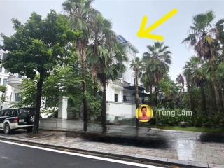 Ảnh thật  louis 2 bt2  góc 3 mặt tiền. hạ tầng đồng bộ, dân cư về ở ~80%, mặt vườn hoa trung tâm