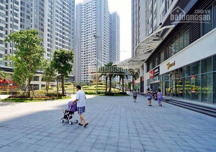 Cho thuê shophouse tại times city 150m2  200m2  300m2