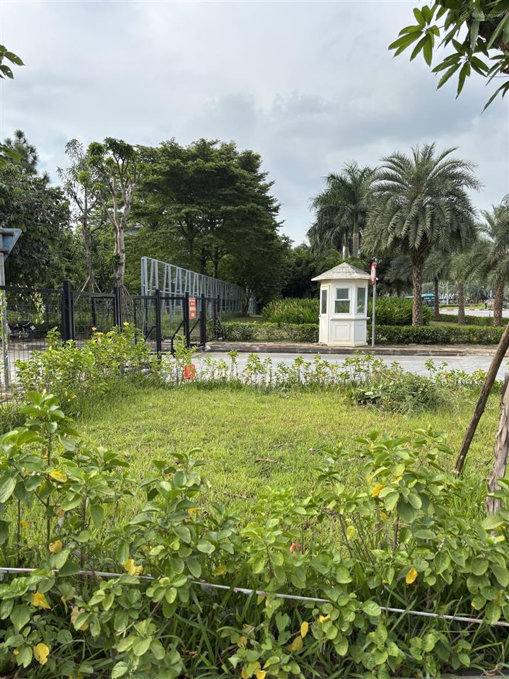 Bán lô đất đẹp nhất phú vinh. lô góc, 2 mặt tiền, rộng 8m view công viên kđt splendora giá đầu tư.