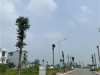 Chính chủ cần tiền gấp quá nên bán mảnh đất sát đường vành đai 4 la tinh đông la an khánh hà nội