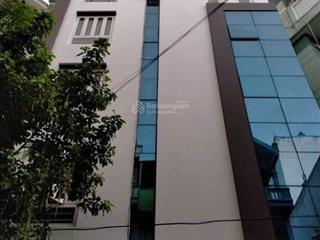 Chính chủ bán nhà phố Hoàng Quốc Việt, Cầu Giấy lô góc, 7 tầng thang máy ô tô tránh