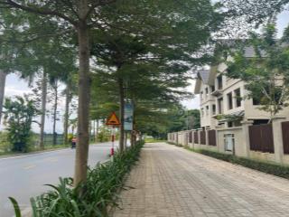 Bán lô góc biệt thự đơn lập 290m2 kđt sunny garden (ceo) quốc oai. 3x,x tỷ 0966 828 ***