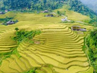 Chính chủ bán 1350m2 đất muồng voi, vân hòa, ba vì, hn. thổ cư 400m2, ngõ 7m, khu cư dân đông đúc