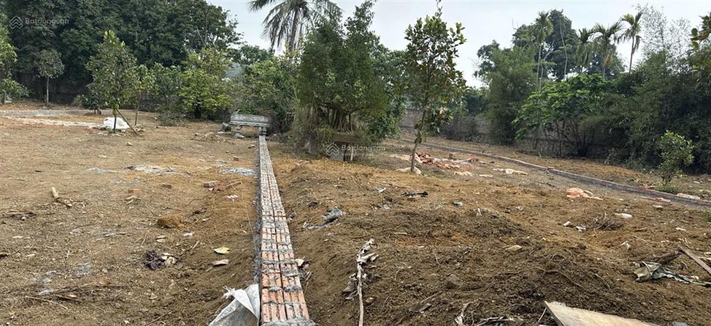 Bán đất mặt đường, đông xuân xe cont đỗ cửa 500m2 sẵn sổ 14tr/m2, 0977 514 ***