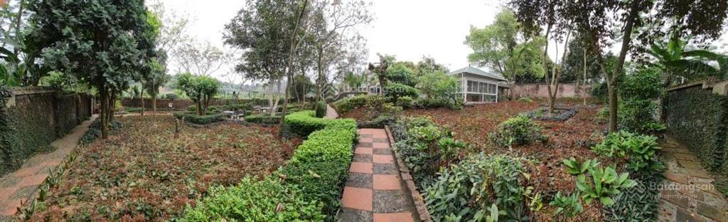 Bán trang trại, nghỉ dưỡng 1270m2 tại đường 416, phường kim sơn, sơn tây, hà nội, giá chỉ 5.5tr/m2