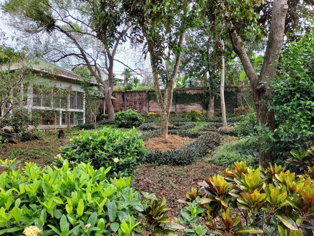 Bán trang trại, nghỉ dưỡng 1270m2 tại đường 416, phường kim sơn, sơn tây, hà nội, giá chỉ 5.5tr/m2