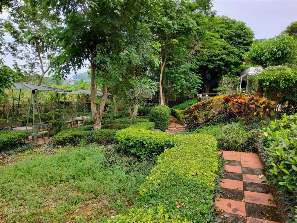 Bán trang trại, nghỉ dưỡng 1270m2 tại đường 416, phường kim sơn, sơn tây, hà nội, giá chỉ 5.5tr/m2