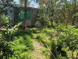 Chính chủ bán farm tâm huyết 1.3 hecta đầy đủ tiện nghi tại diên xuân, full trái cây có nhà vườn