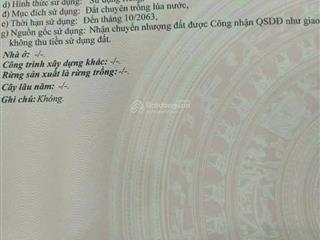 Tôi chính chủ cần bán lô đất, ấp 5 xã mỹ bình đức huệ long an