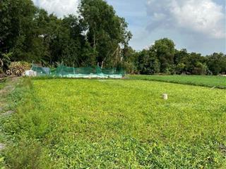 Cần bán đất hóc môn xã thới tam thôn