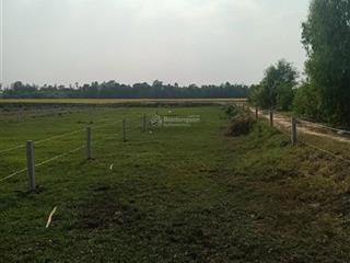 Tôi chính chủ cần bán đất đức huệ long an