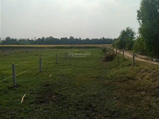 Tôi chính chủ cần bán lô đất đức huệ long an