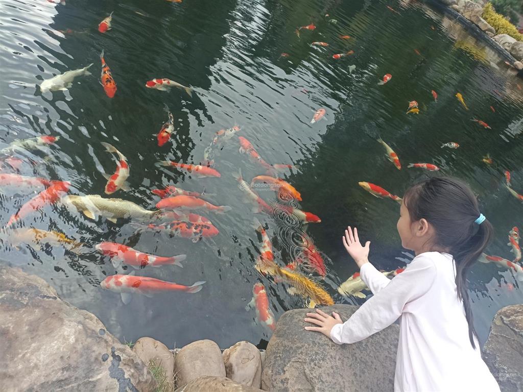 Gấp giảm 1,5 tỷ mời ac đầu tư ecopark 212m2 parkpremium 14,x tỷ  105m2 giá 7,x tỷ  155m2 giá 11,x