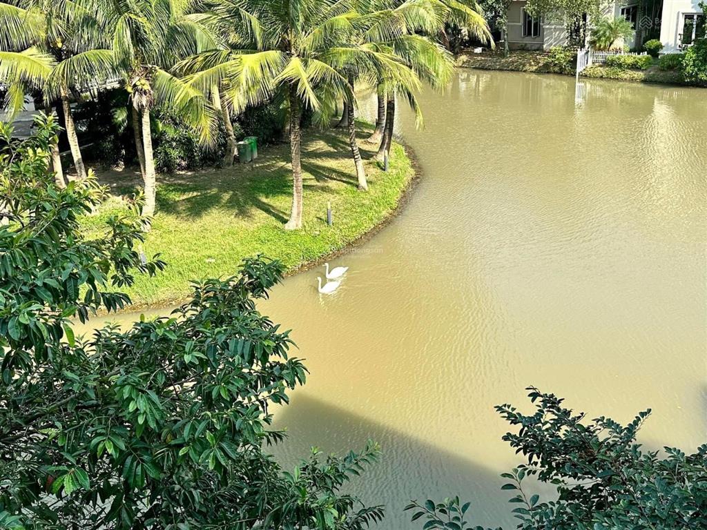 Gấp bt hoa phượng 6, 243m2, sông đẹp, ở luôn, giá tốt nhất 86.5 tỷ vinhomes riverside, 0932 533 ***