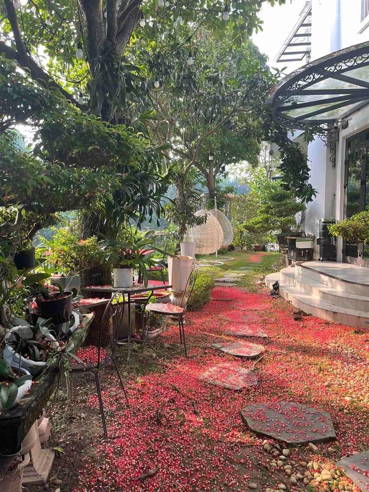 Lô anh đào 163m2, full đồ giá rất hợp lý  vinhomes riverside. 0971 861 ***