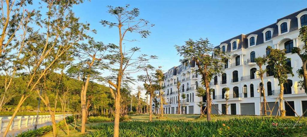 Chính chủ cần bán liền kề  mặt hồ truyền thuyết  rộng 8m  đồi rồng  hải phòng