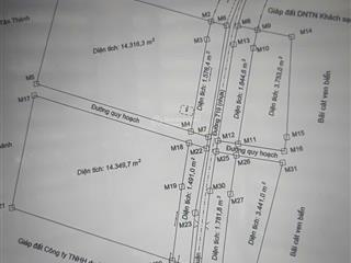 Bán gấp đất nền 42000m2 tại đường 719, xã tân thành, hàm thuận nam, bình thuận, 140 tỷ vnd
