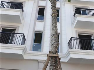 Eurowindow park gia lâm liền kề góc bán nhanh vị trí siêu đẹp giá siêu tốt  0947 022 ***