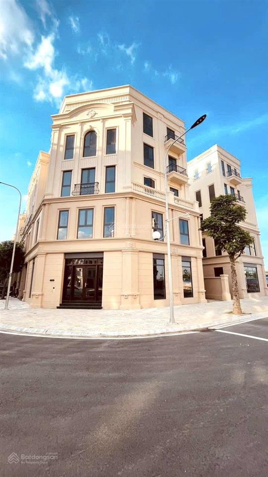 (quỹ hàng chuyển nhượng liền kề góc, biệt thự tứ lập, song lập) vinhomes cổ loa giá tốt nhất