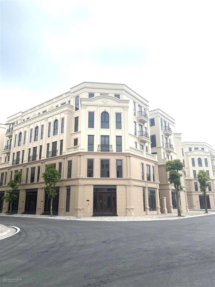 (quỹ hàng chuyển nhượng liền kề góc, biệt thự tứ lập, song lập) vinhomes cổ loa giá tốt nhất