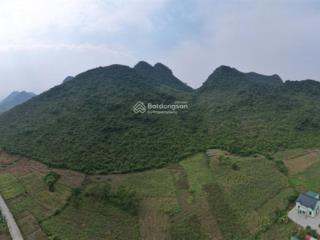 Bán đất quy hoạch homestay cúc phương, ninh bình