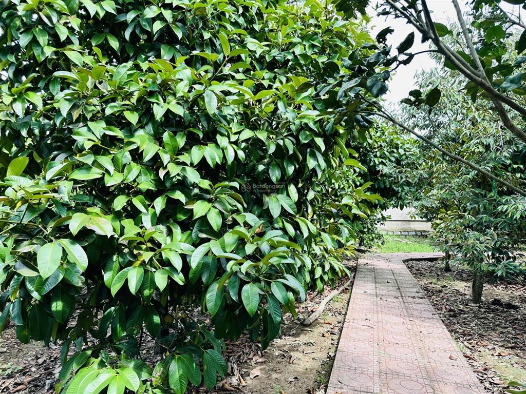 Chính chủ bán vườn nghỉ dưỡng 7.500 m² tại khánh vĩnh vị trí đẹp, quy hoạch đất ở