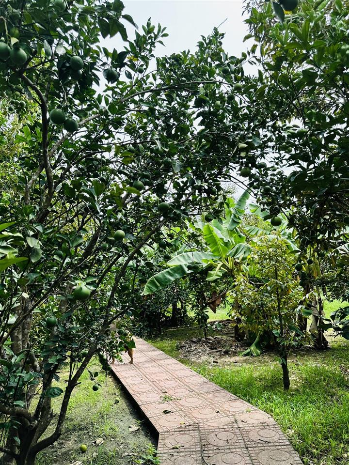 Chính chủ bán vườn nghỉ dưỡng 7.500 m² tại khánh vĩnh vị trí đẹp, quy hoạch đất ở