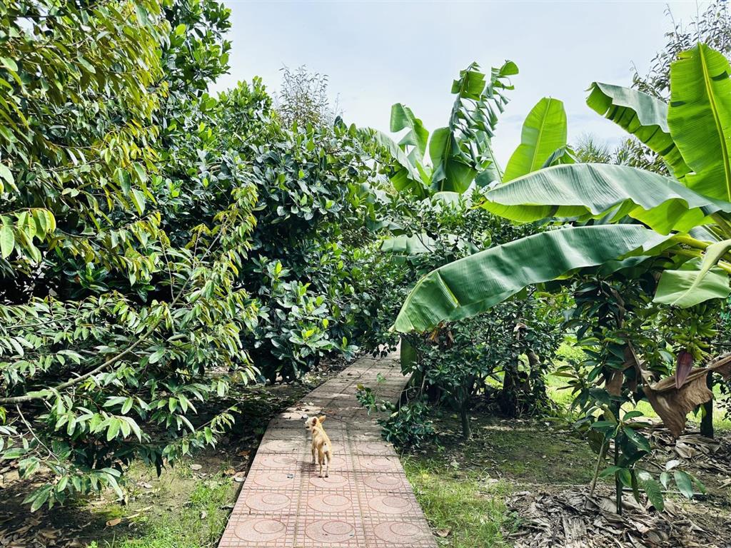 Chính chủ bán vườn nghỉ dưỡng 7.500 m² tại khánh vĩnh vị trí đẹp, quy hoạch đất ở