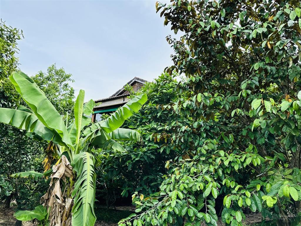 Chính chủ bán vườn nghỉ dưỡng 7.500 m² tại khánh vĩnh vị trí đẹp, quy hoạch đất ở