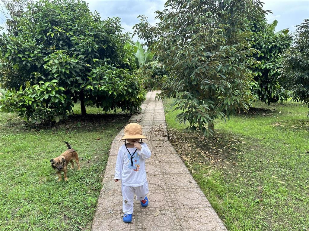 Chính chủ bán vườn nghỉ dưỡng 7.500 m² tại khánh vĩnh vị trí đẹp, quy hoạch đất ở