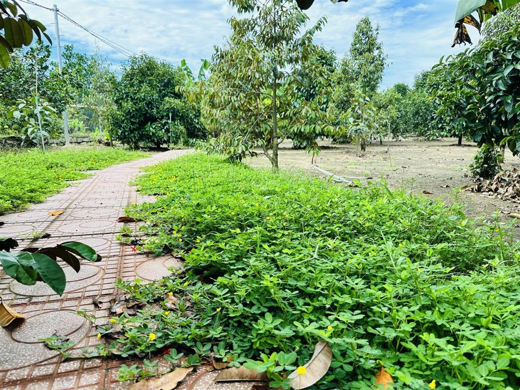 Chính chủ bán vườn nghỉ dưỡng 7.500 m² tại khánh vĩnh vị trí đẹp, quy hoạch đất ở