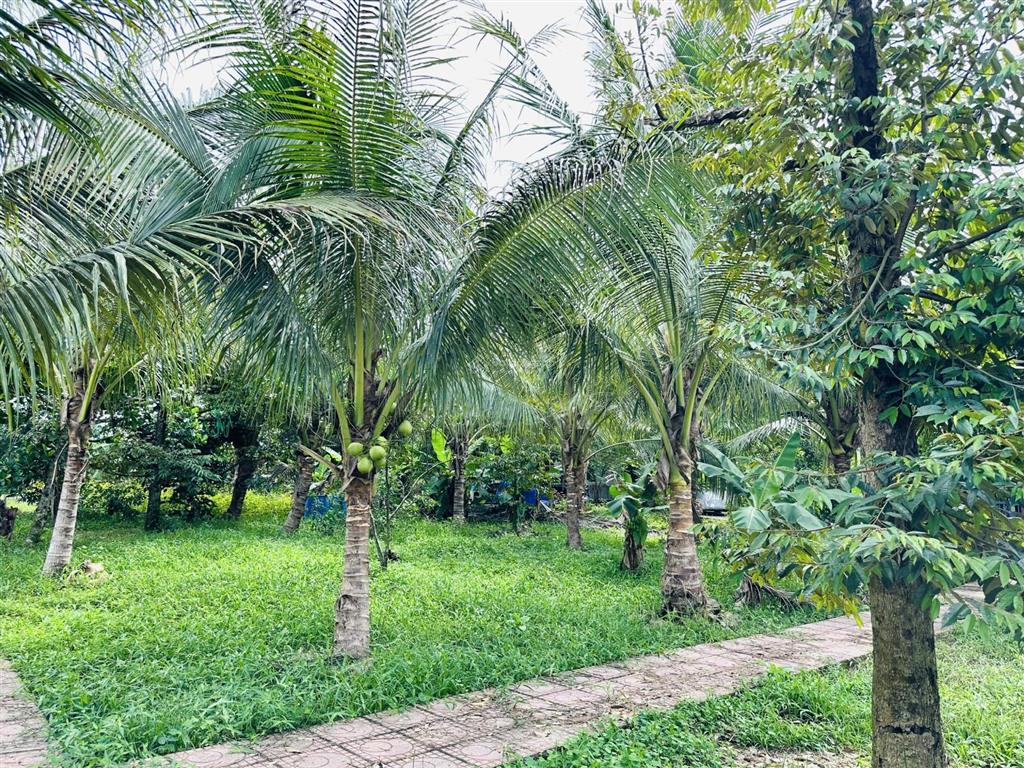 Chính chủ bán vườn nghỉ dưỡng 7.500 m² tại khánh vĩnh vị trí đẹp, quy hoạch đất ở