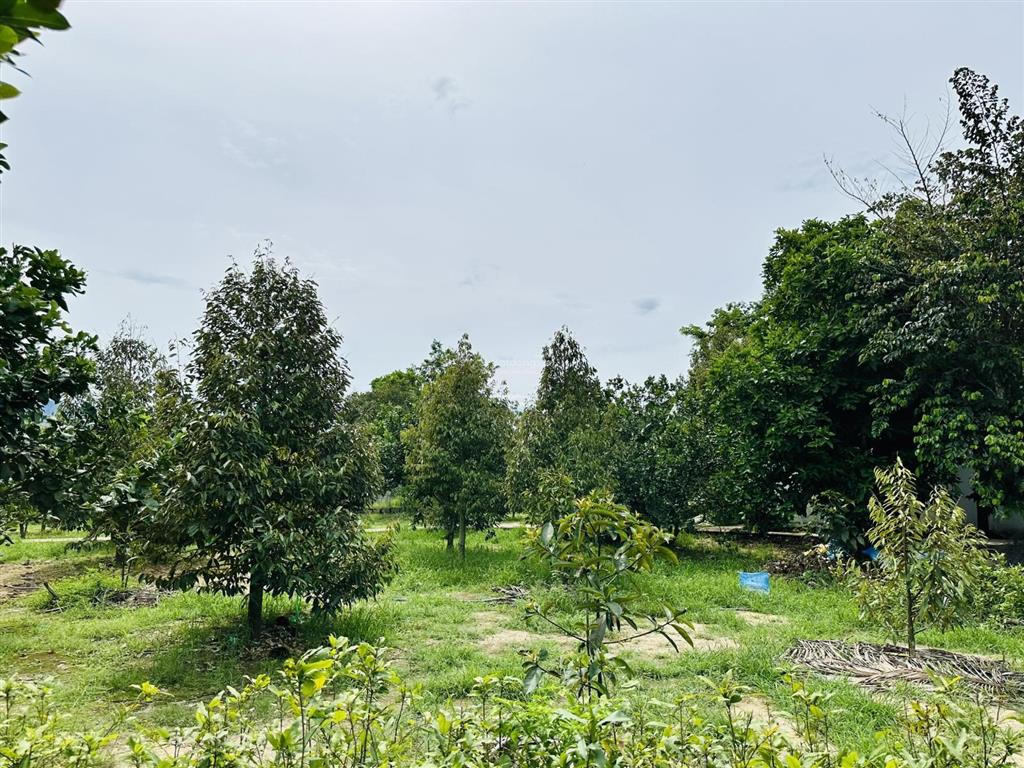 Chính chủ bán vườn nghỉ dưỡng 7.500 m² tại khánh vĩnh vị trí đẹp, quy hoạch đất ở