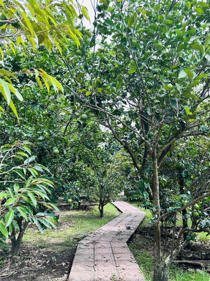 Chính chủ bán vườn nghỉ dưỡng 7.500 m² tại khánh vĩnh vị trí đẹp, quy hoạch đất ở
