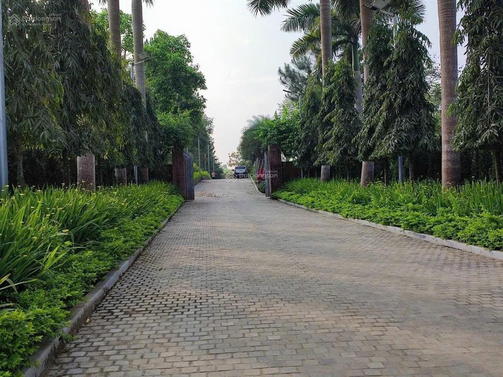 440m mt 20m, đường 30m,kinh doanh, loanh quanh 30tr/m2 đẹp nhất đg bãi dài, sát ga metro, xanhvilas