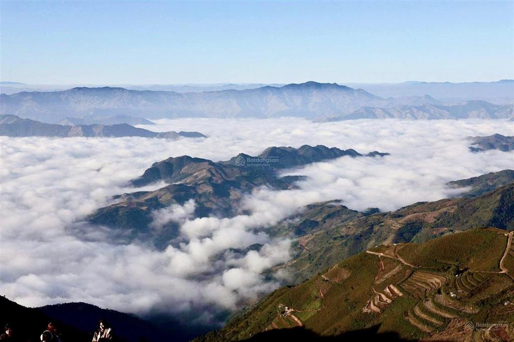 Bán mảnh đất 5000m2 tại bản chò hướng lạc đà