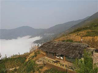 5000m2 khe cải vùng đất hứa thung lũng mây ngút ngàn