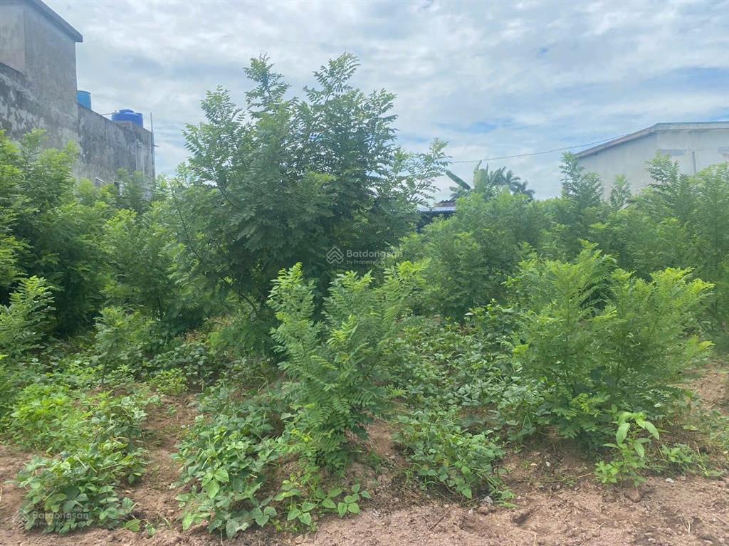 Chính chủ cần bán 412.7m2 đất nam hồng, mặt tiền 15m, đường ô tô