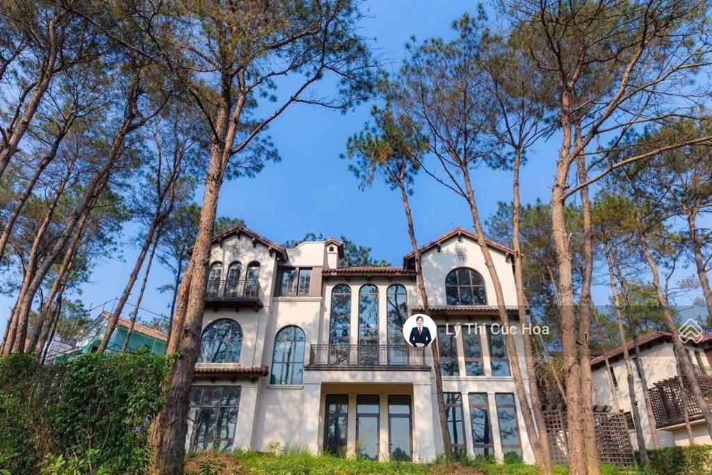 Bán lại bt thanh xuân valey giá 16ty791 lô góc tts được điều chỉnh htls vay tiếp ký ngay 0943 274 ***