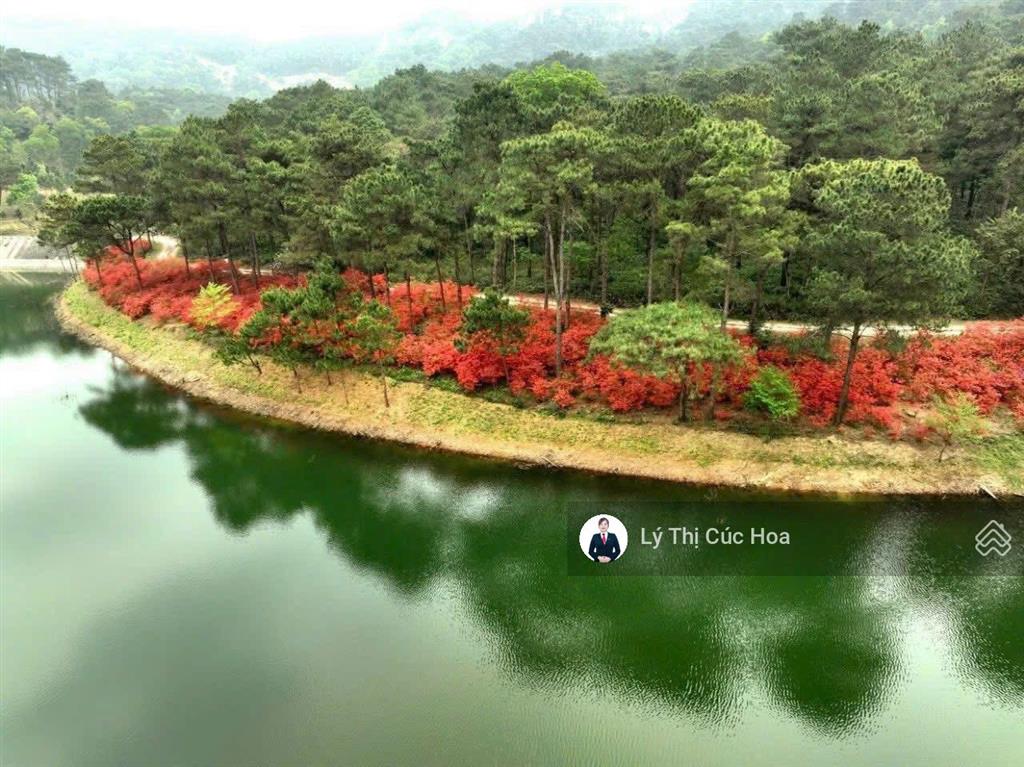 Bán lại bt thanh xuân valey giá 16ty791 lô góc tts được điều chỉnh htls vay tiếp ký ngay 0943 274 ***