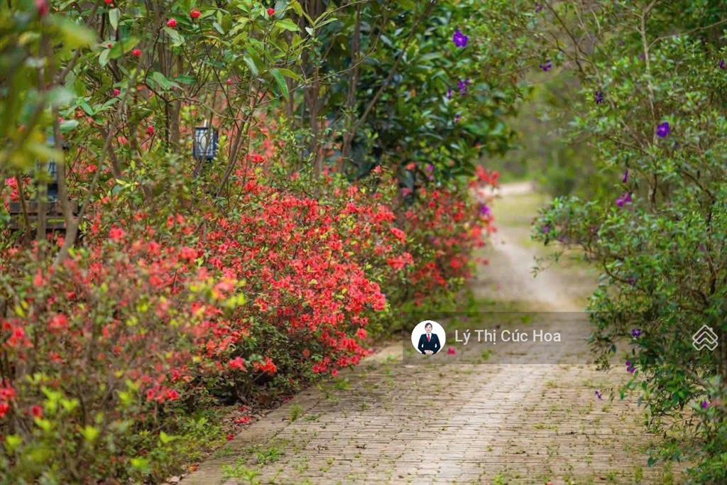 Bán lại bt thanh xuân valey giá 16ty791 lô góc tts được điều chỉnh htls vay tiếp ký ngay 0943 274 ***