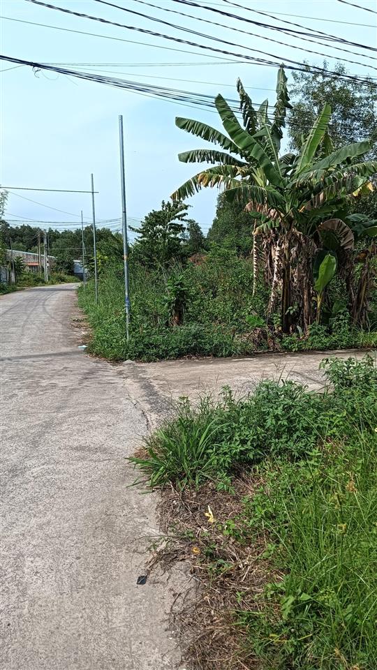 Bán đất nền thổ cư 2 mặt tiền,đường hùng vương, xã phước an, đồng nai, 13 triệu / m2, dt  247 m2