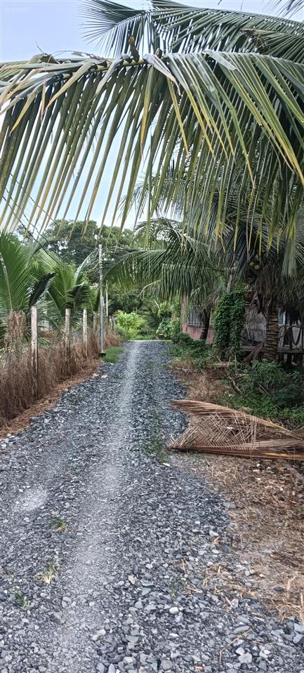Bán đất tặng nhà vườn 1091m2 , cách đường hùng vương 300m , xã phước an, nhơn trạch đồng nai