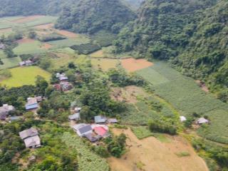 Bán 1,4ha đất nghỉ dưỡng giá rẻ tại kim bôi hoà bình đủ mọi tiêu trí farm sạch hoặc nghỉ dưỡng