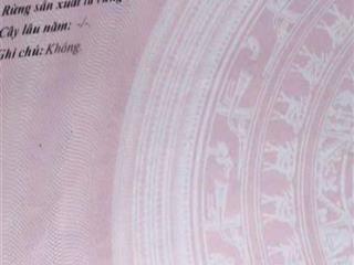 Rẻ hơn thị trường cần bán lô góc 2 mặt tiền đường phan tôn ( khu phố an thượng ) cách bãi tắm 70m