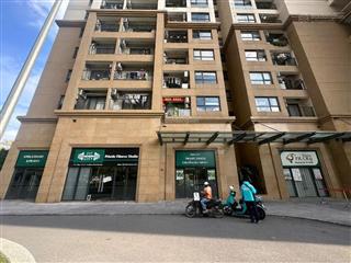 Bán shophouse khối đế 236.5m2 tại dcapitale trần duy hưng